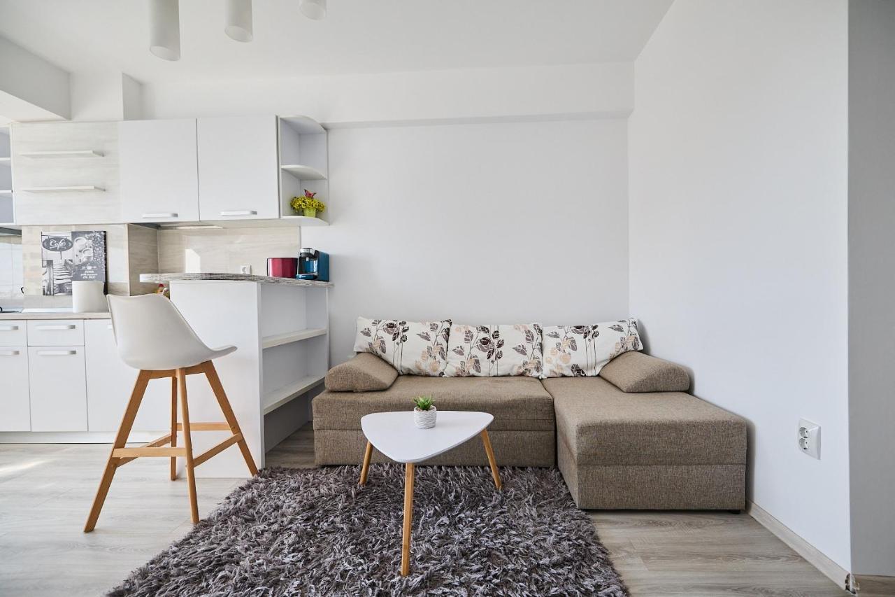 Alessandro Home 9 Luxury Centru Palas Mall Iasi Moldovei 30 Exteriér fotografie